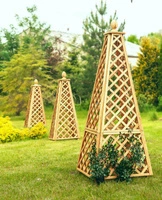 Obélisque de mélèze